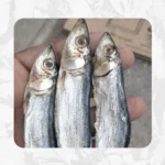 Mural (முரல் - தொண்டன்)