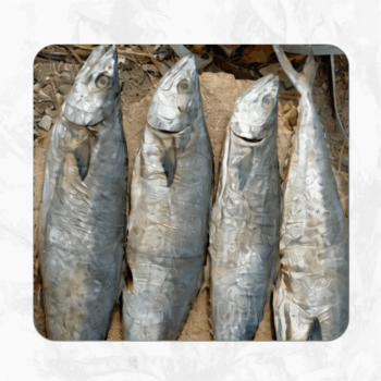 Ney Meen(நெய் மீன்)