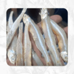 Big Size Milk Nethili (பால் நெத்திலி பிக் சைஸ்)