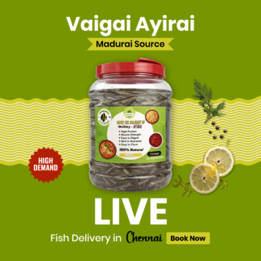 AYIRAI MEEN - அயிரை (INDIAN SPINY LOACH)