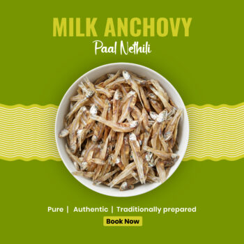 Milk Anchovy Dried Fish / Paal Nethili Karuvadu